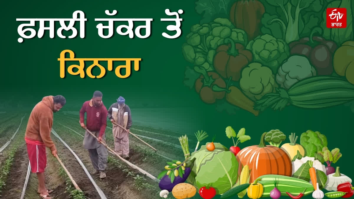 VEGETABLE FARMING