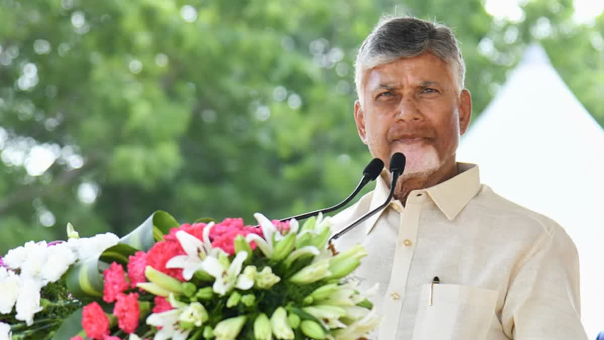 Andhra CM Naidu Approves Rs 19,000 Cr Investments; Unveils IT Portal, Pushes Beach Tourism Plans Chandrababu Naidu