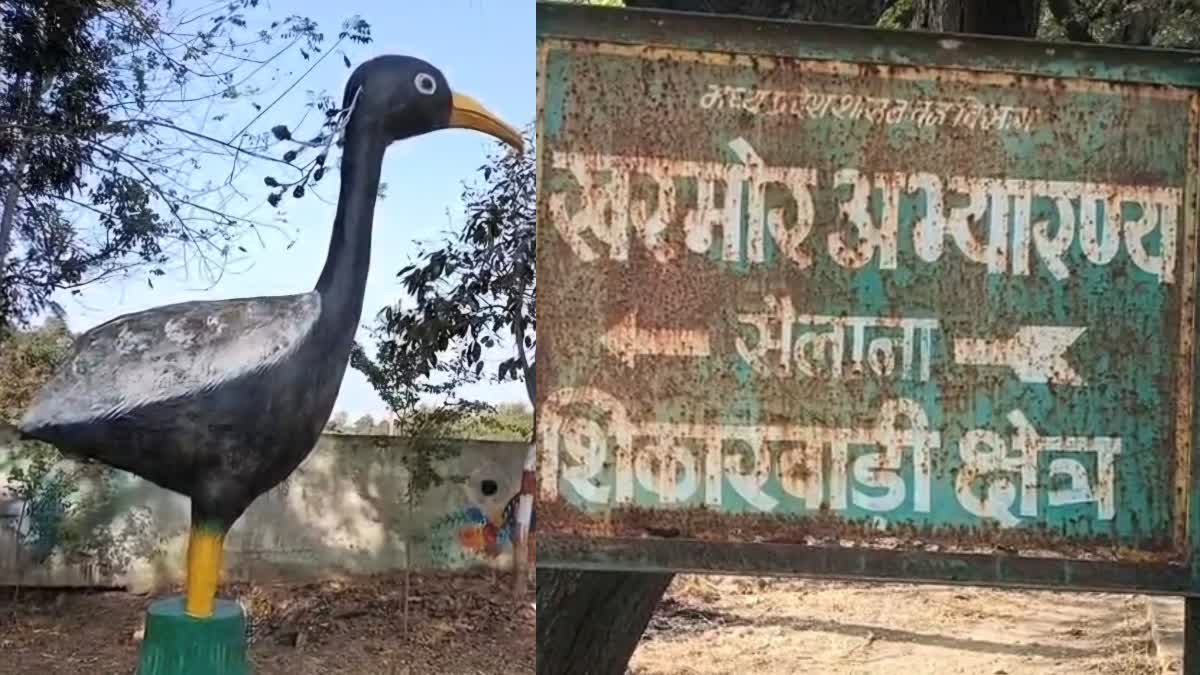 RATLAM KHARMORE SANCTUARY vacate