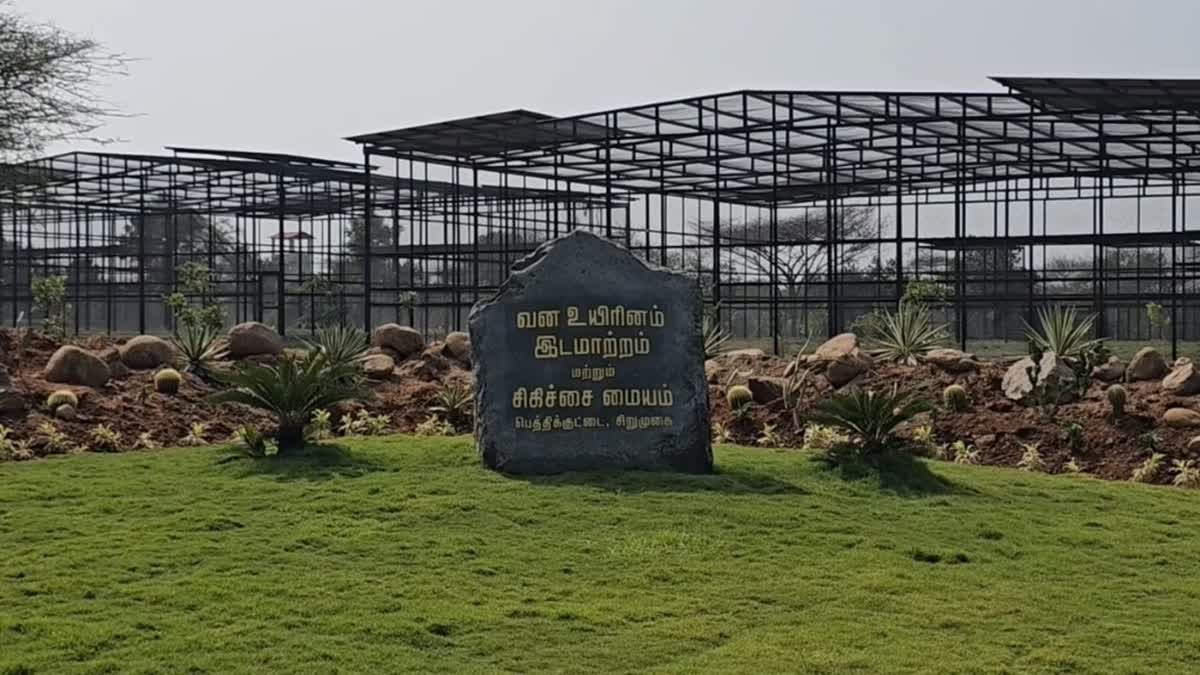 வன விலங்குகளுக்கான சிகிச்சை மையம்