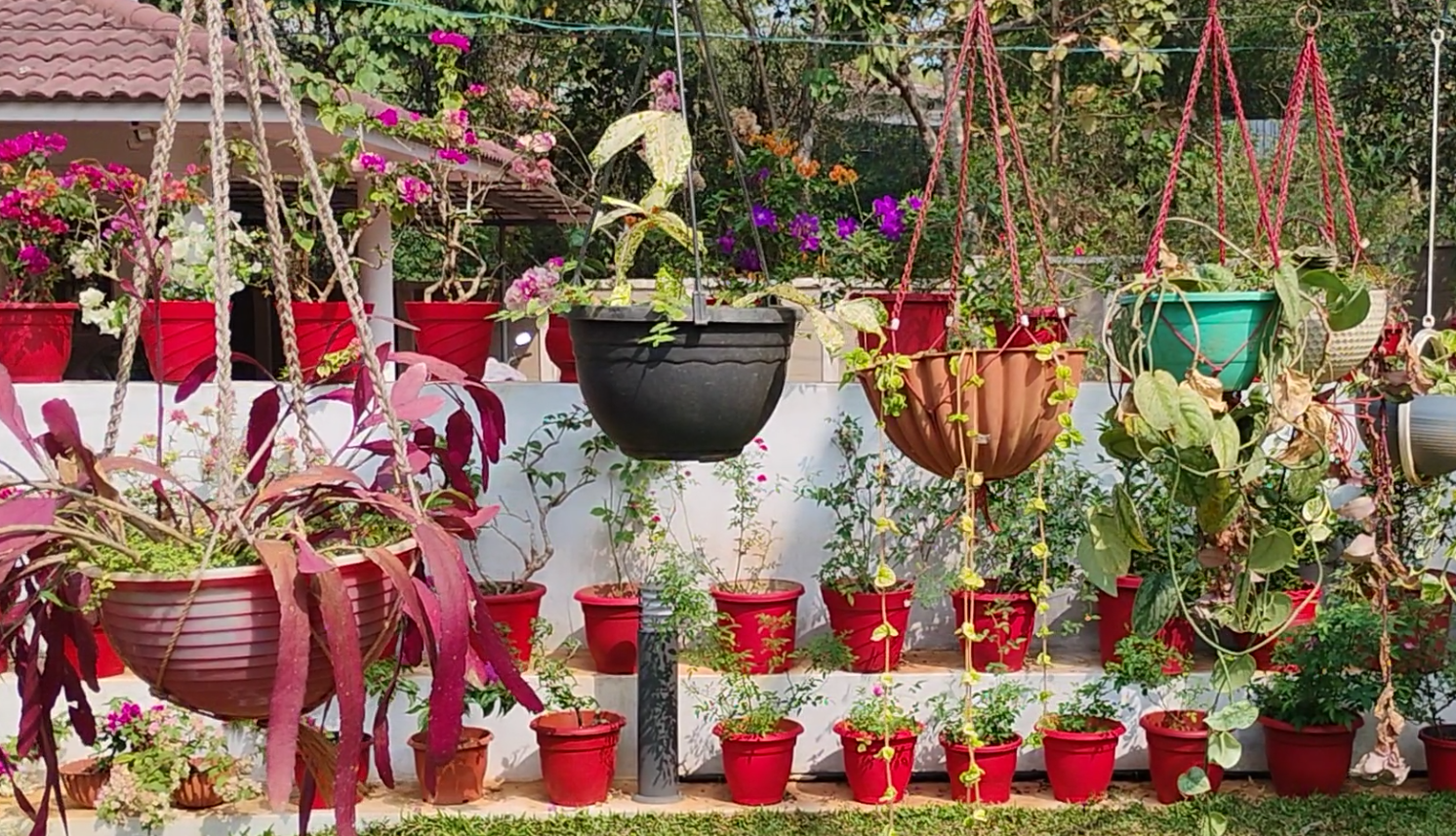 HOMEGARDEN  RETIRED COUPLE HOME GARDEN  GARDENING  KANNUR