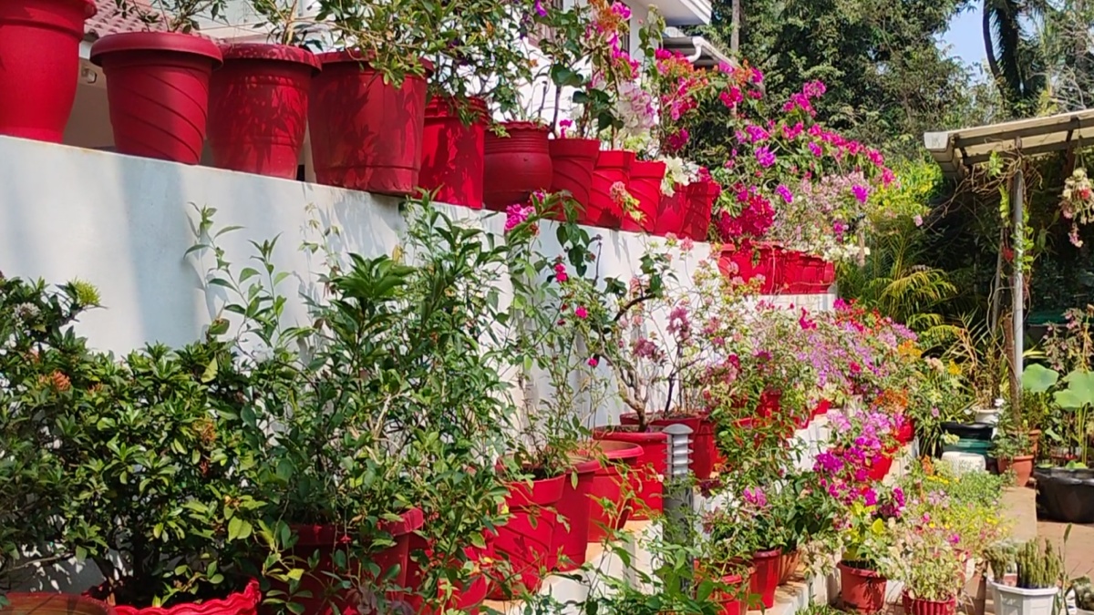 HOMEGARDEN  RETIRED COUPLE HOME GARDEN  GARDENING  KANNUR