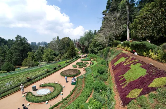 Representational image