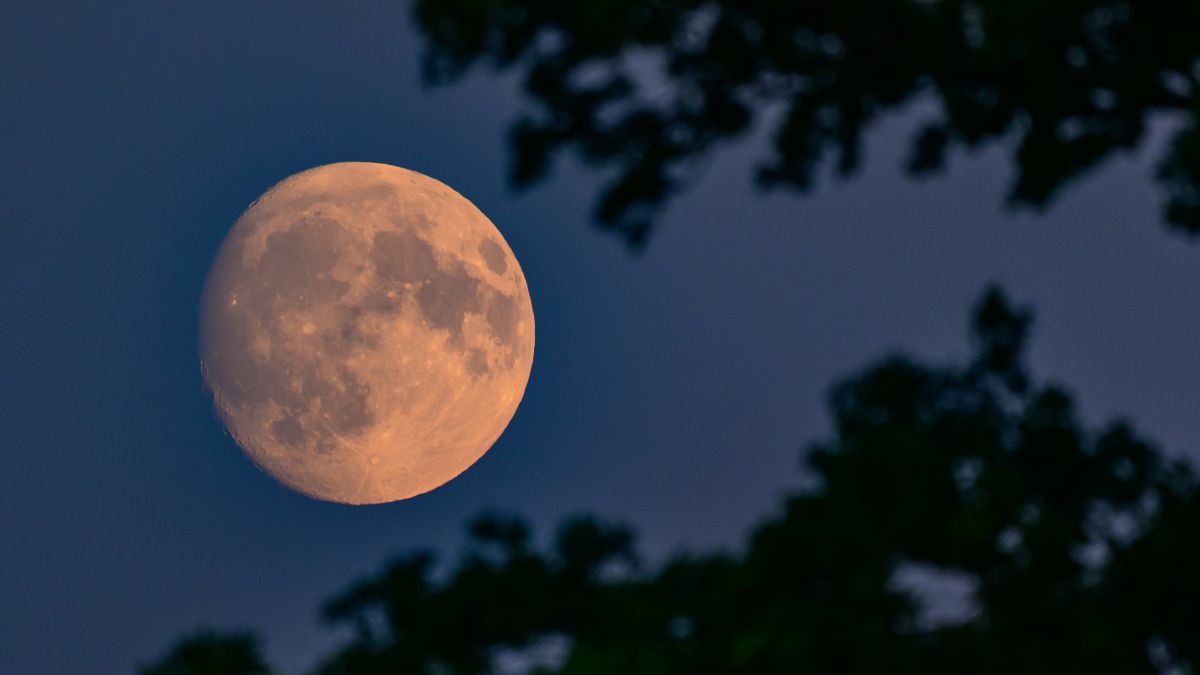 This year will witness one lunar eclipse