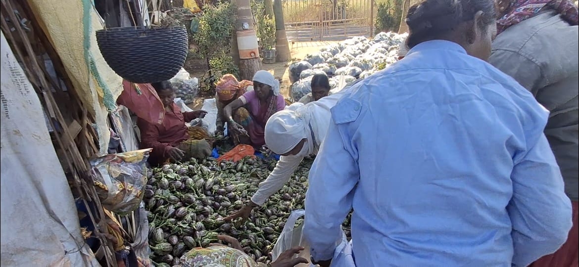Two Hours After Class, This Professor Walks Into His Field And Harvests 60 Quintal Brinjals A Week