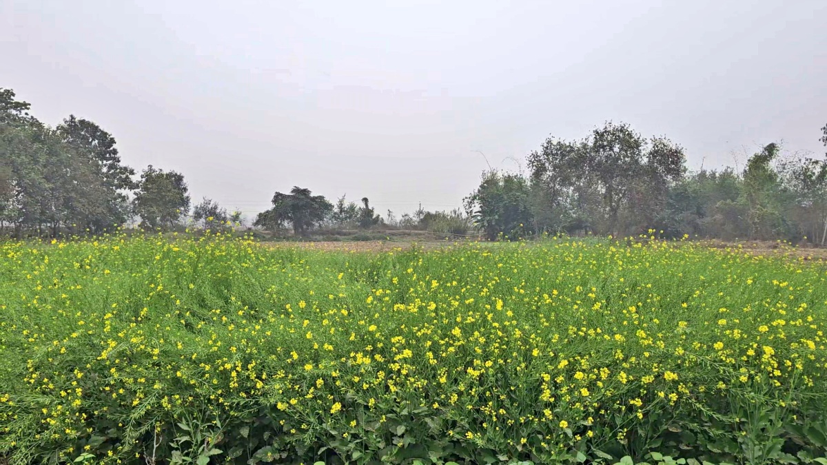 BIHAR Weird village name