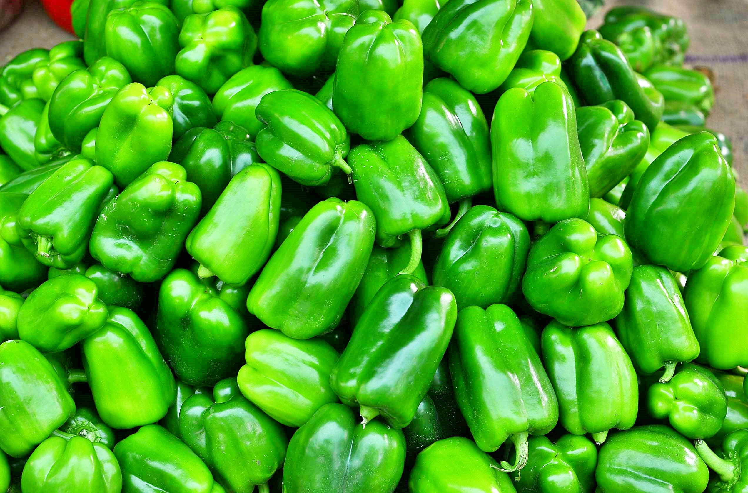 EATING RAW VEGETABLES DANGEROUS  HOW TO SAFELY EAT RAW VEGETABLES  EATING RAW VEGETABLES  IS IT BAD TO EAT RAW VEGETABLES