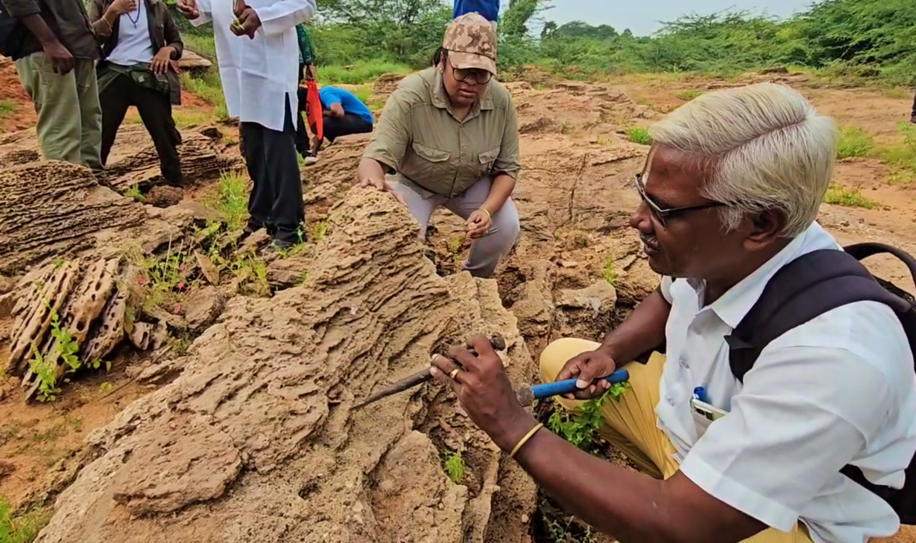 பனையூர் பகுதியில் ஆய்வு செய்த காட்சி