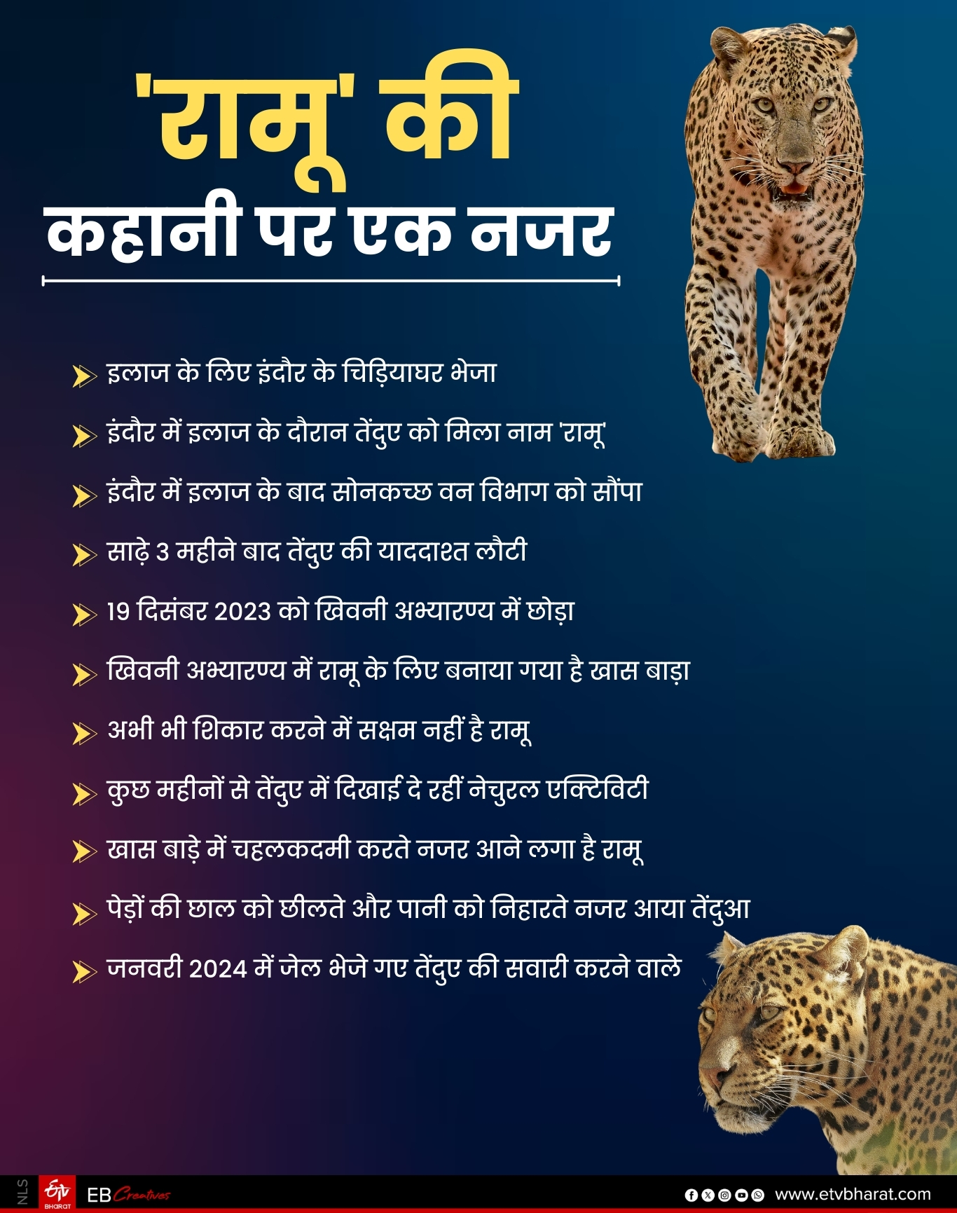 DEWAS LEOPARD RAMU STORY