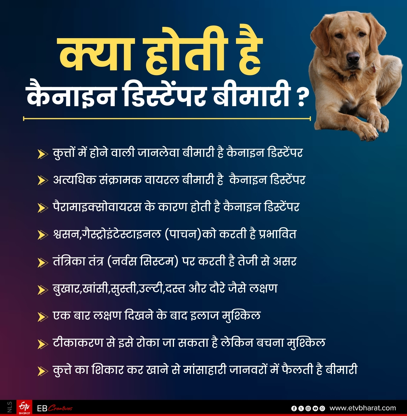 CANINE DISTEMPER VIRUS