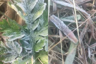 CHHINDWARA COLDEST NIGHT