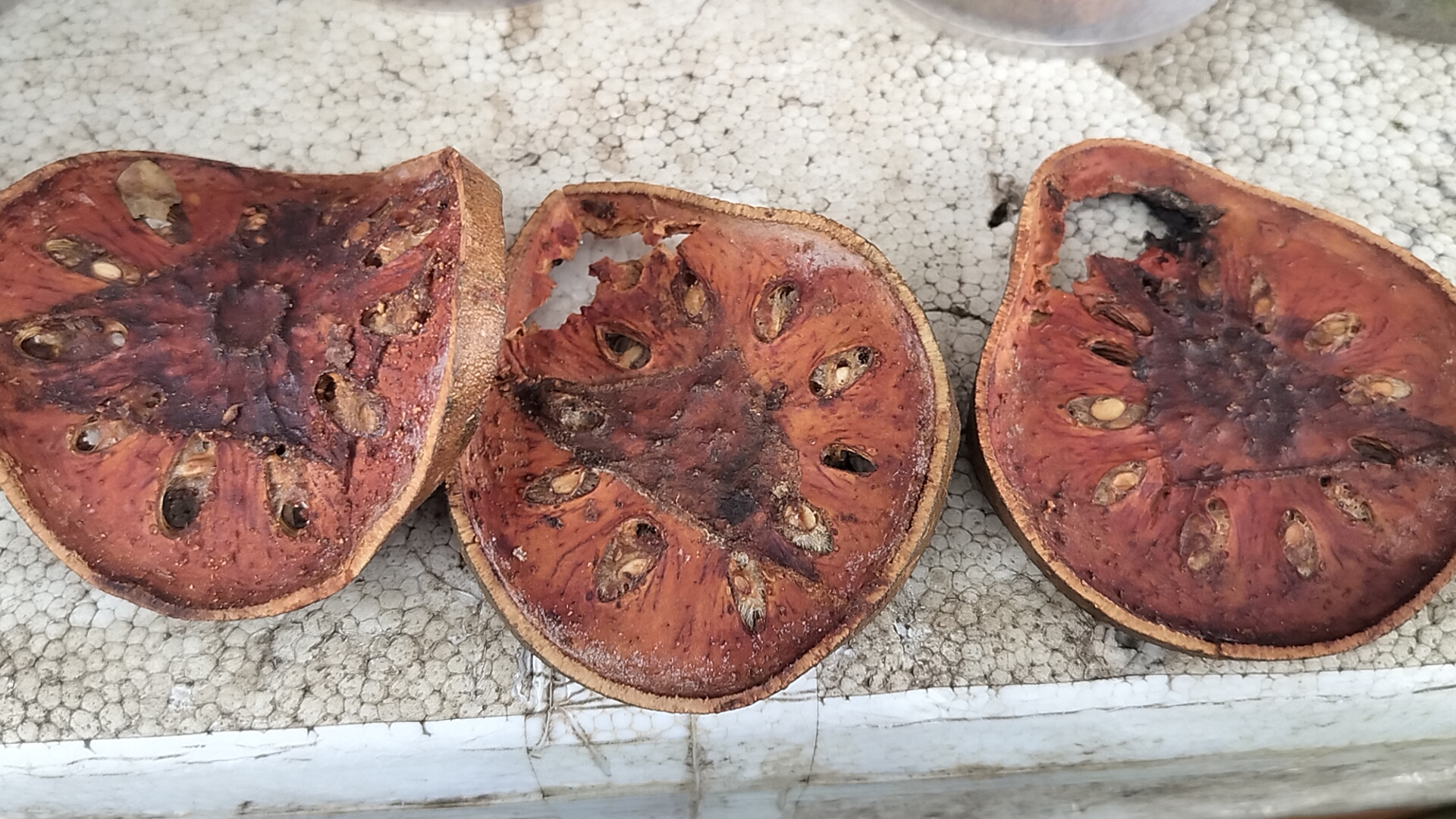 Bael Tea In Bodh Gaya