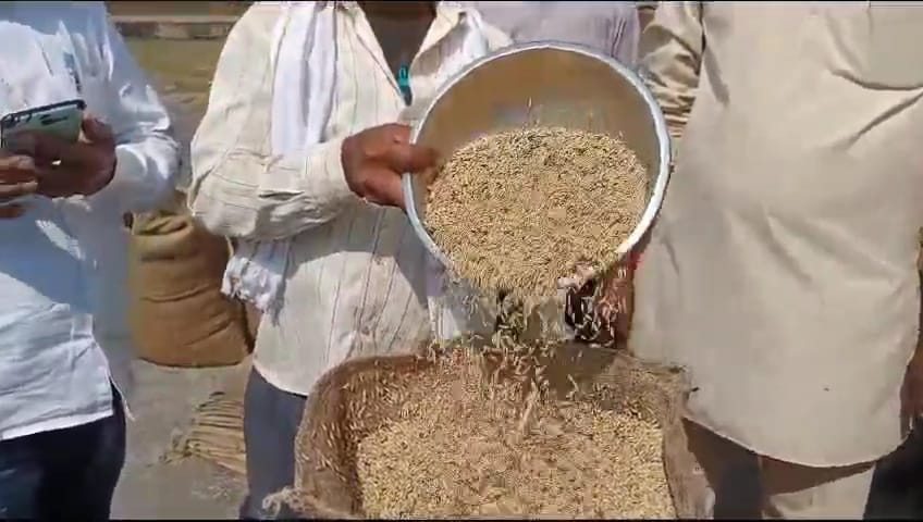 PADDY PROCUREMENT KAWARDHA