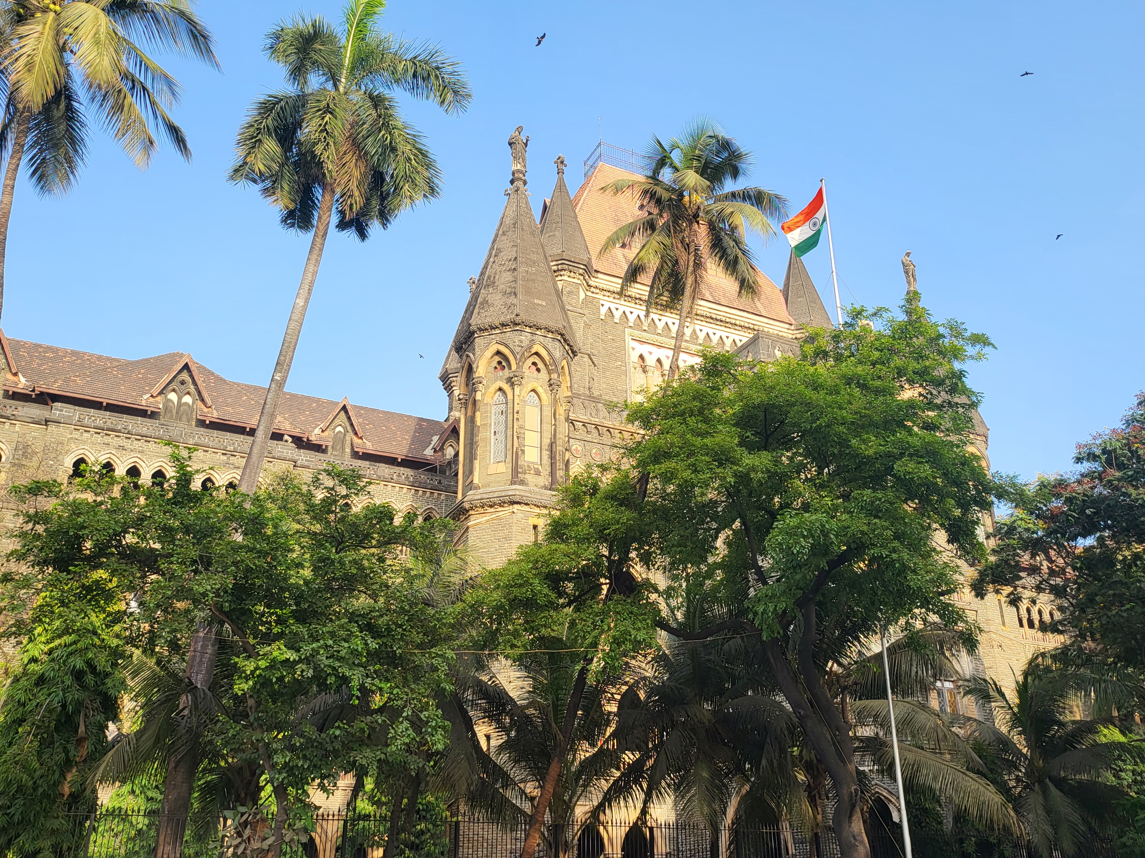 bombay high court