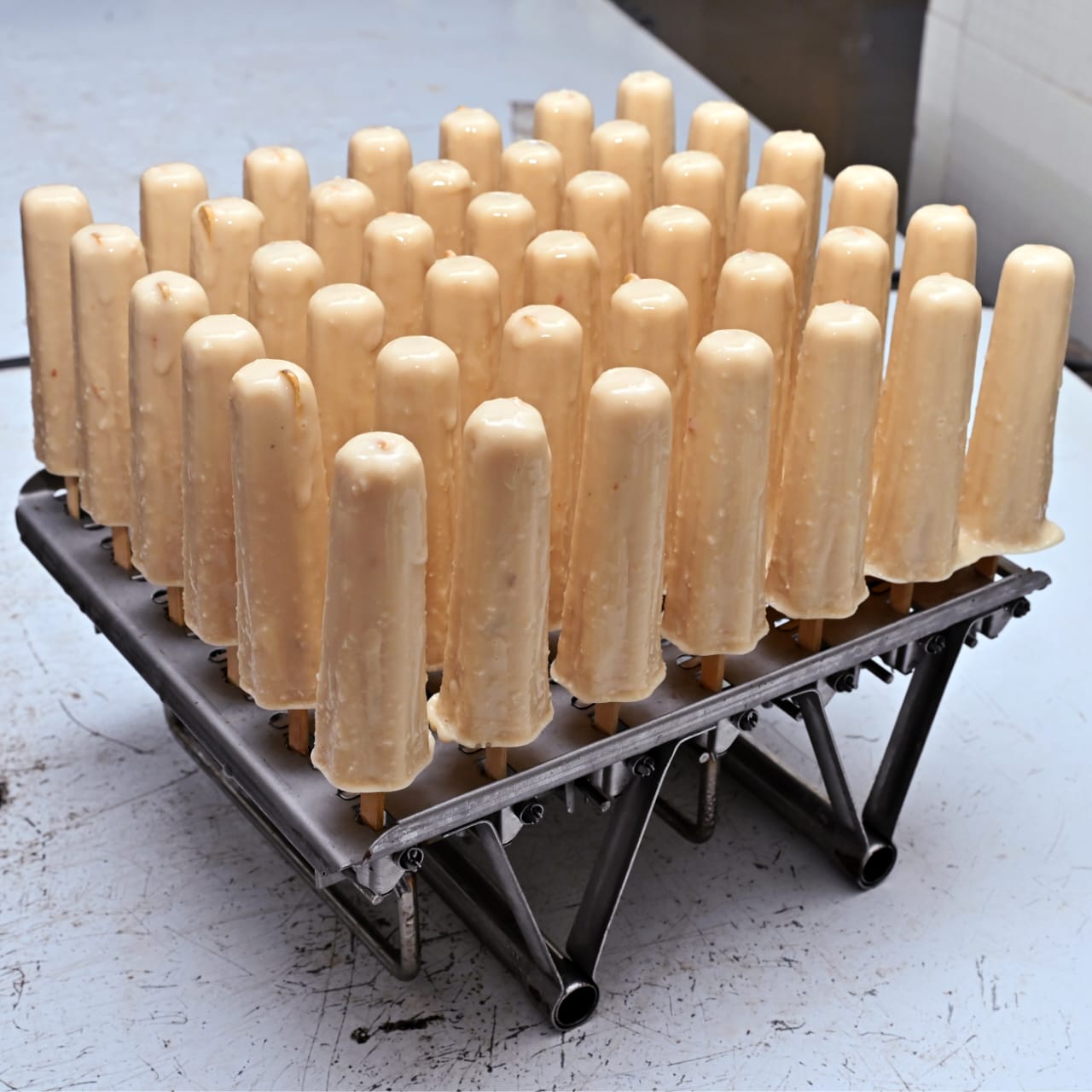 CPCRI Launches HEALTHY COCONUT BASED TREATS