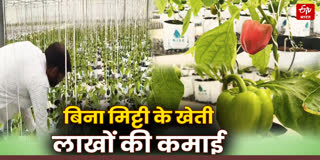 Farming without soil