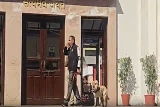 Security personnel inspecting the High Court