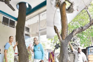 ಮರ ಕಡಿಯದೆ ಮನೆ ಕಟ್ಟಿದ ಮಹನೀಯರು