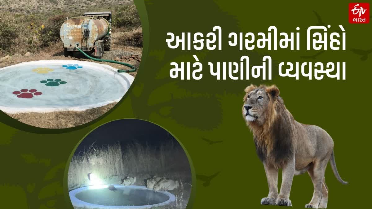 Bhavnagar News ભાવેણુ - ShareChat