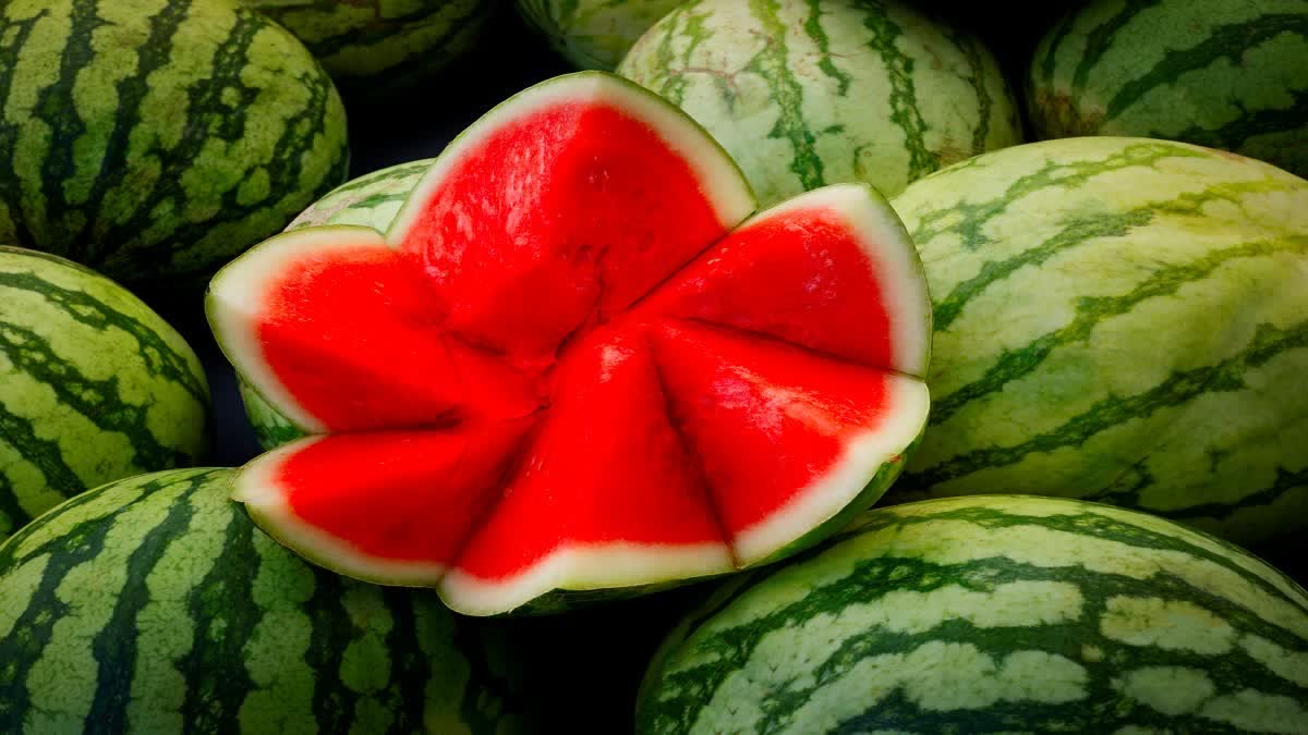 Identify Adulterated Watermelon