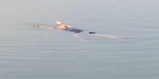 'ஜல யோகா' செய்த முதியவர்