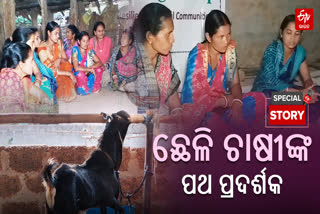 Goat farming training