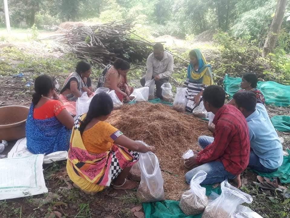 Fun In Fungus: Uttar Pradesh's Nisha Niranjan Builds Mushroom Empire Of Rs 15 Crore, Empowers 10,000 Farmers