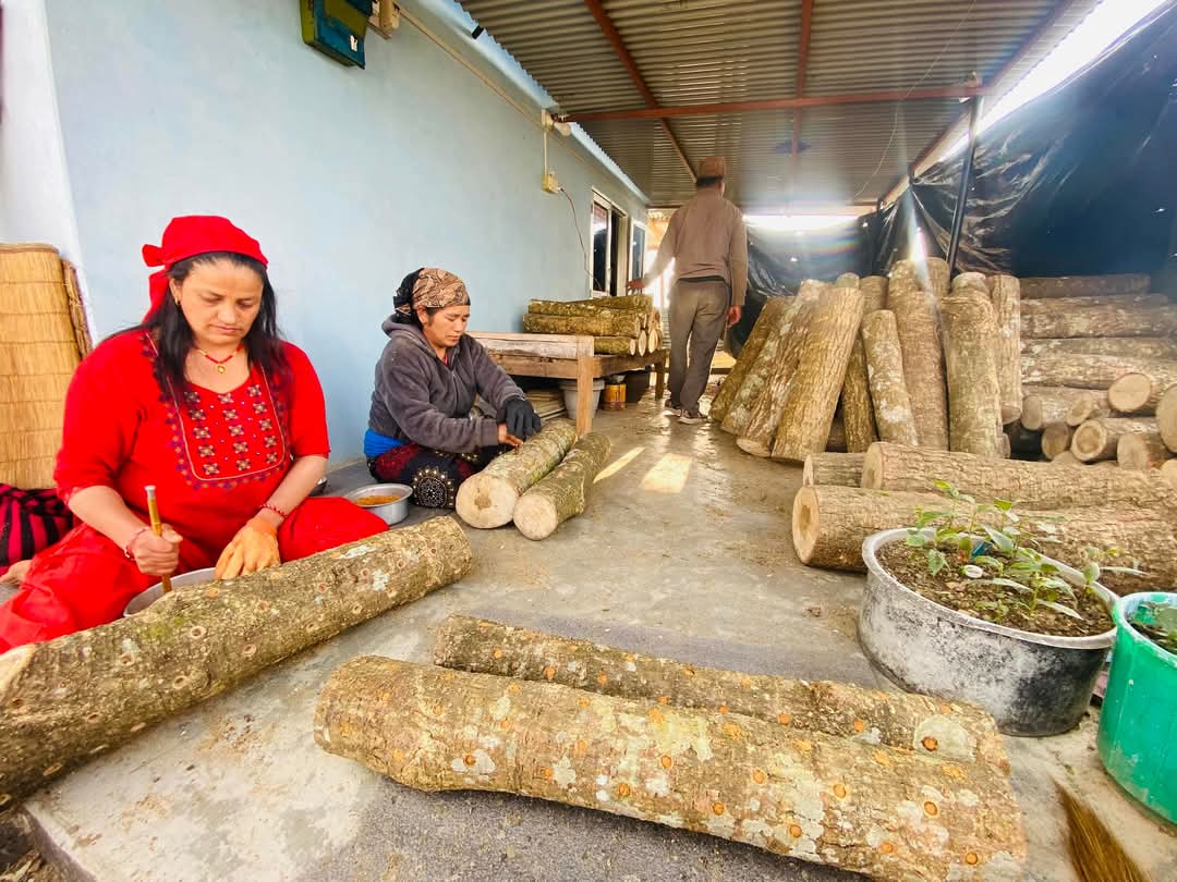 Fun In Fungus: Uttar Pradesh's Nisha Niranjan Builds Mushroom Empire Of Rs 15 Crore, Empowers 10,000 Farmers