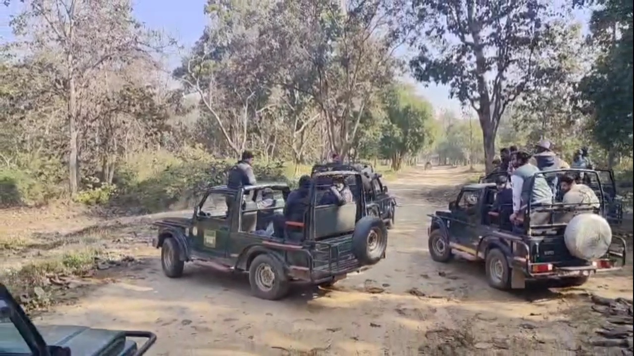 Policy For Prosperity: Mandatory Jute Bags For Tourists Near Corbett Boost Women’s Livelihood In Ramnagar