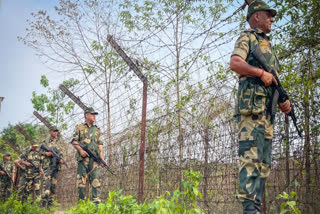 PAKISTANI INTRUDER ARRESTED