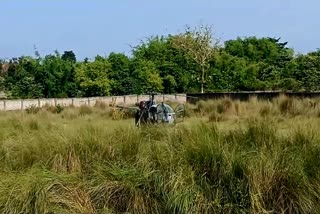 INDIAN ARMY HELICOPTER