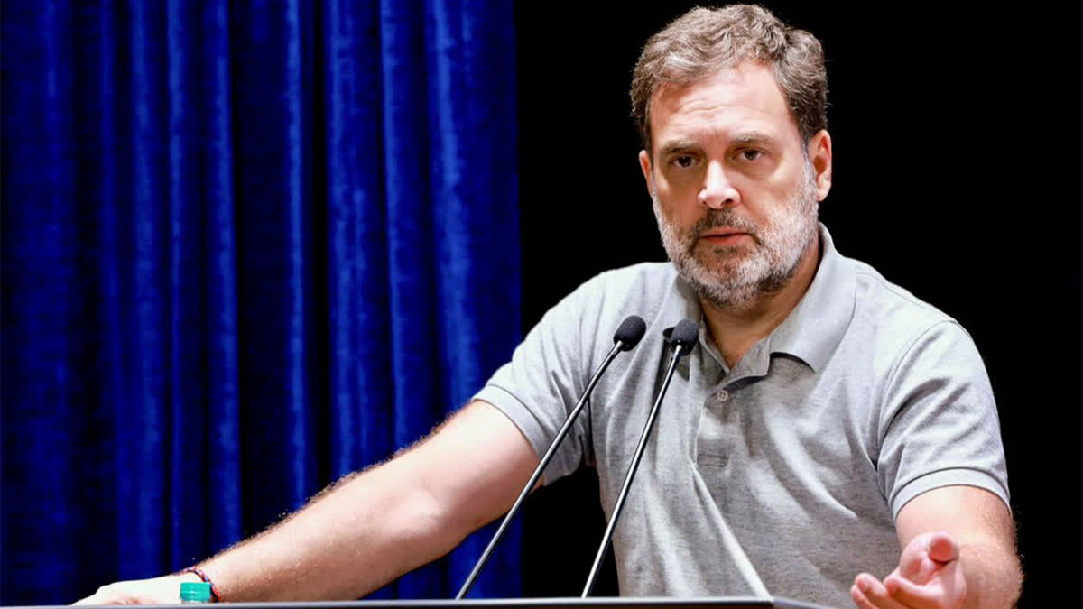 RAHUL GANDHI VOTE CHORI AND MANIPULATING POLLS 240 BJP MPs INFLITRATORS HARYANA GOVERNMENT IS INFILTRATORS