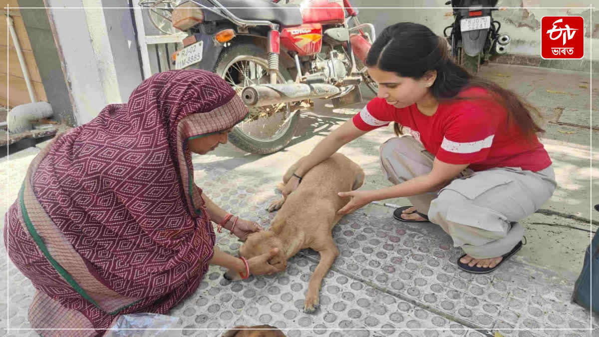 She Steps Out When Others Step Back: Alwar's Jyoti Saini Rescues 800 Snakes, 500 Dogs, Leads Wildlife Protection Effort
