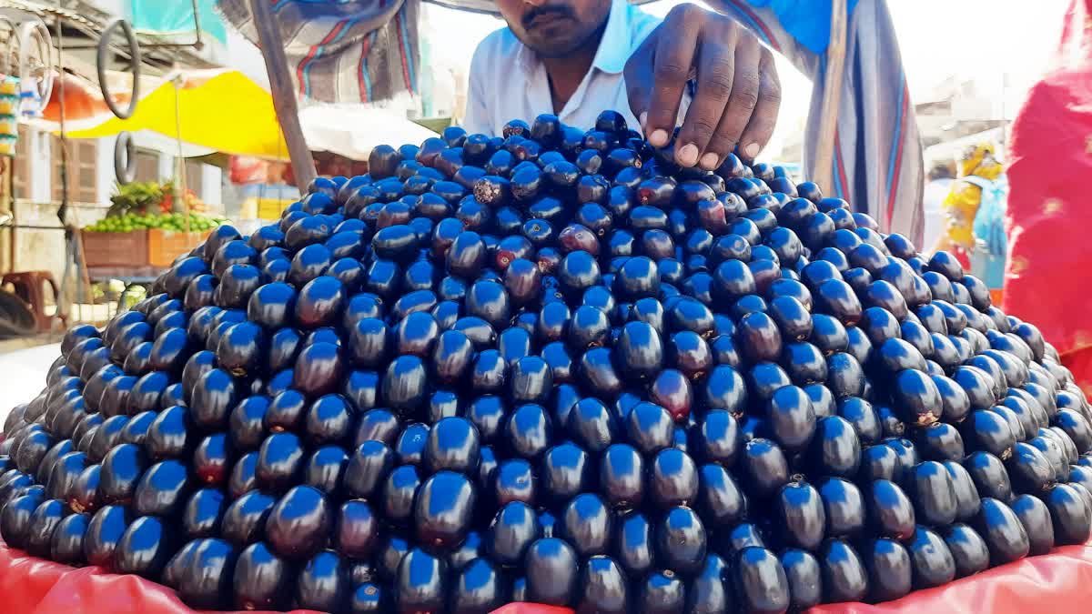 Eating Jamun daily during the summer is far more beneficial than consuming various expensive fruits