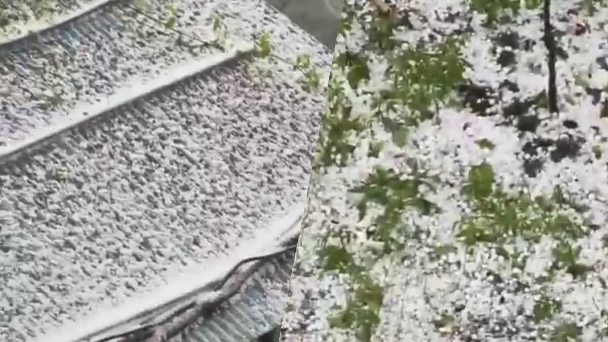बंजार और आनी के कई इलाकों में भारी ओलावृष्टि
