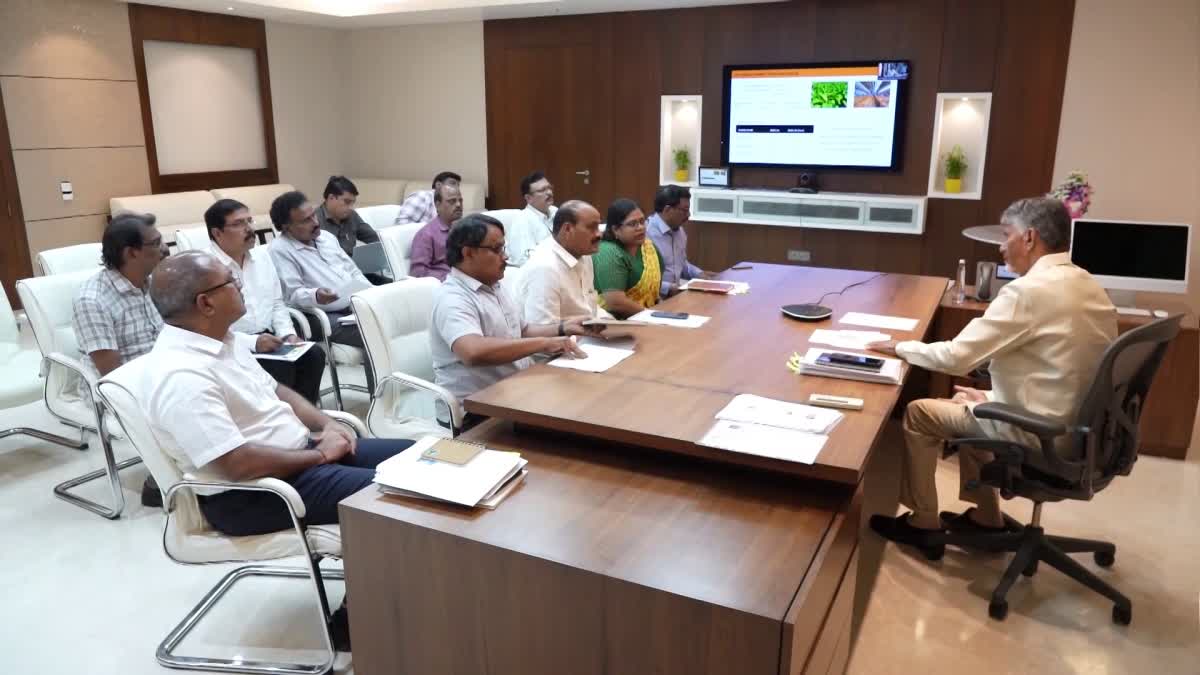 CM Chandrababu Review on Crop Purchases