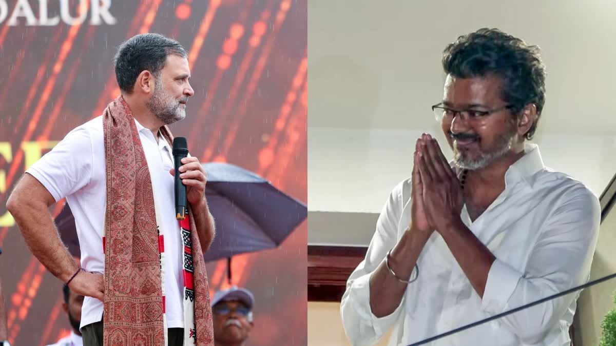 ராகுல் காந்தி - தவெக தலைவர் விஜய்
