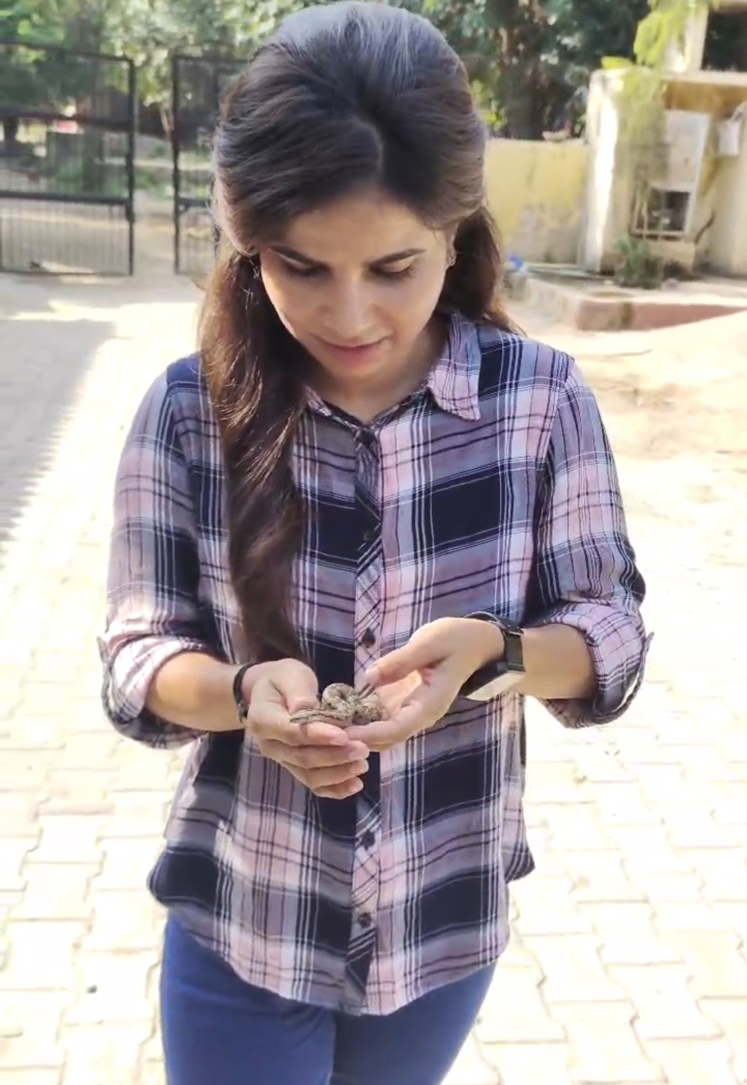Alwar's Jyoti Saini Rescues 800 Snakes, 500 Dogs, Leads Wildlife Protection Effort