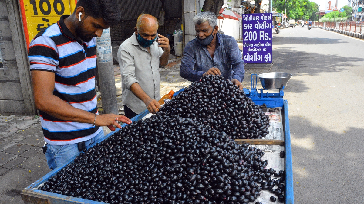 Eating Jamun daily during the summer is far more beneficial than consuming various expensive fruits