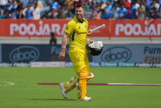 David Warner T20I Records