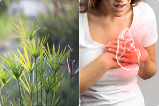 HEART ATTACK TREATMENT