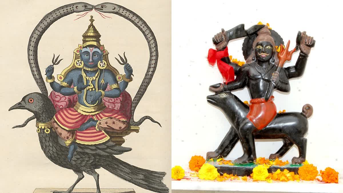 How to Worship the Peepal Tree for Shani Dosha