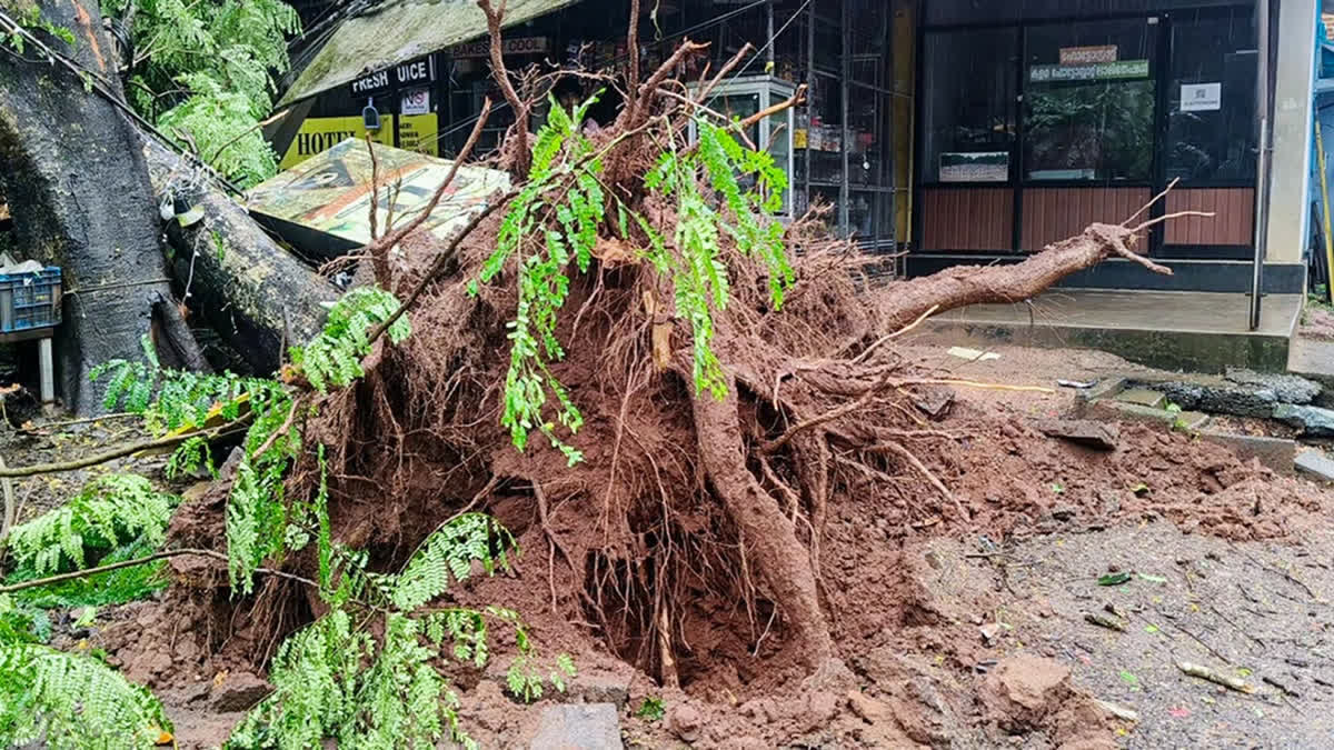 HEAVY RAINFALL IN KERALA