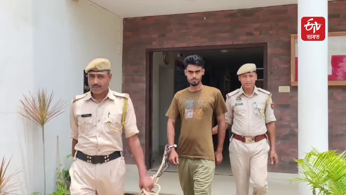 lover stabs woman to death