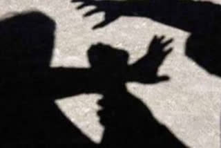 TWO BROTHERS MOLESTED MINOR GIRL