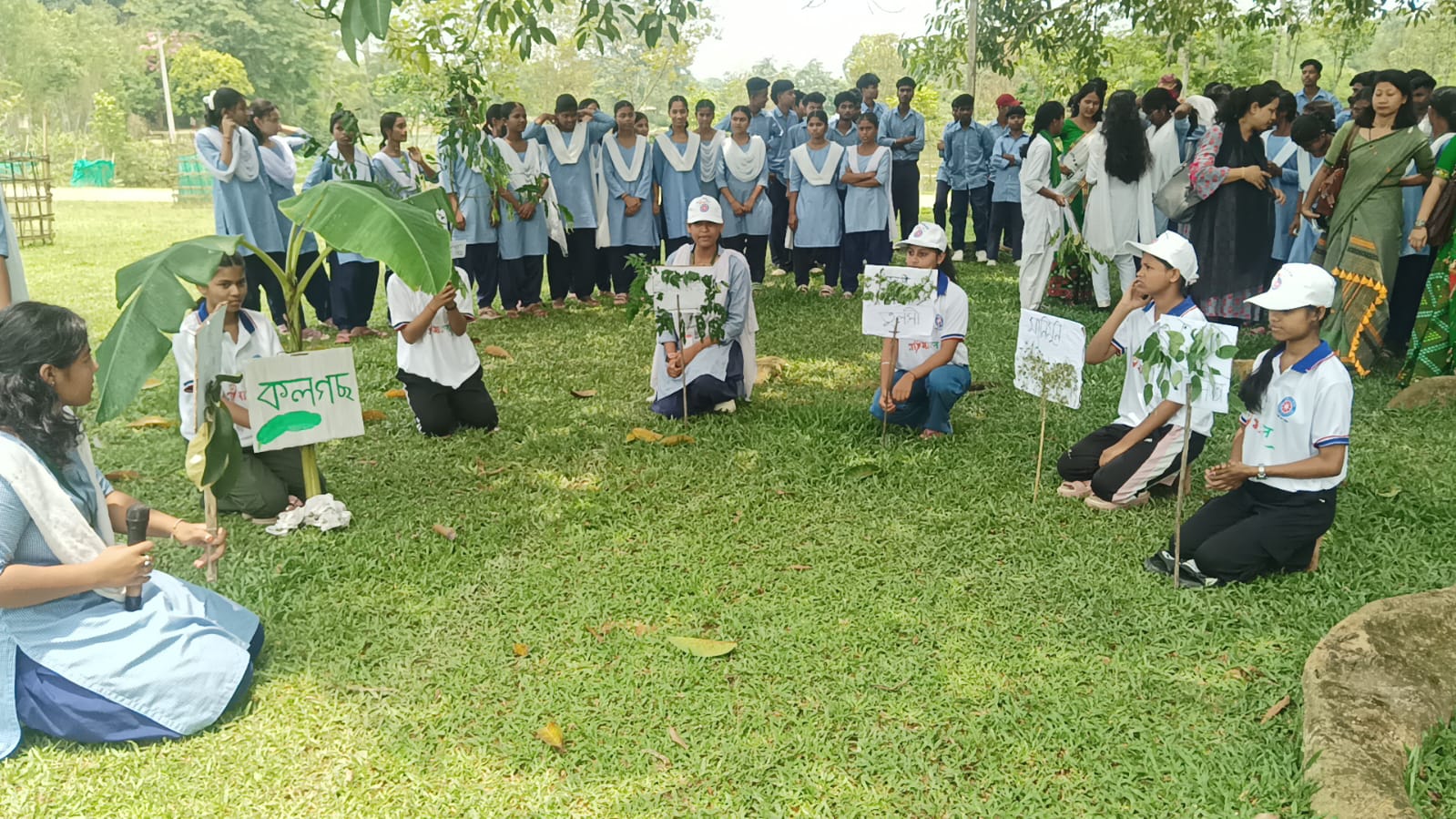 MLA Mrinal Saikia alleges that many trees are being killed in the name of World Environment Day