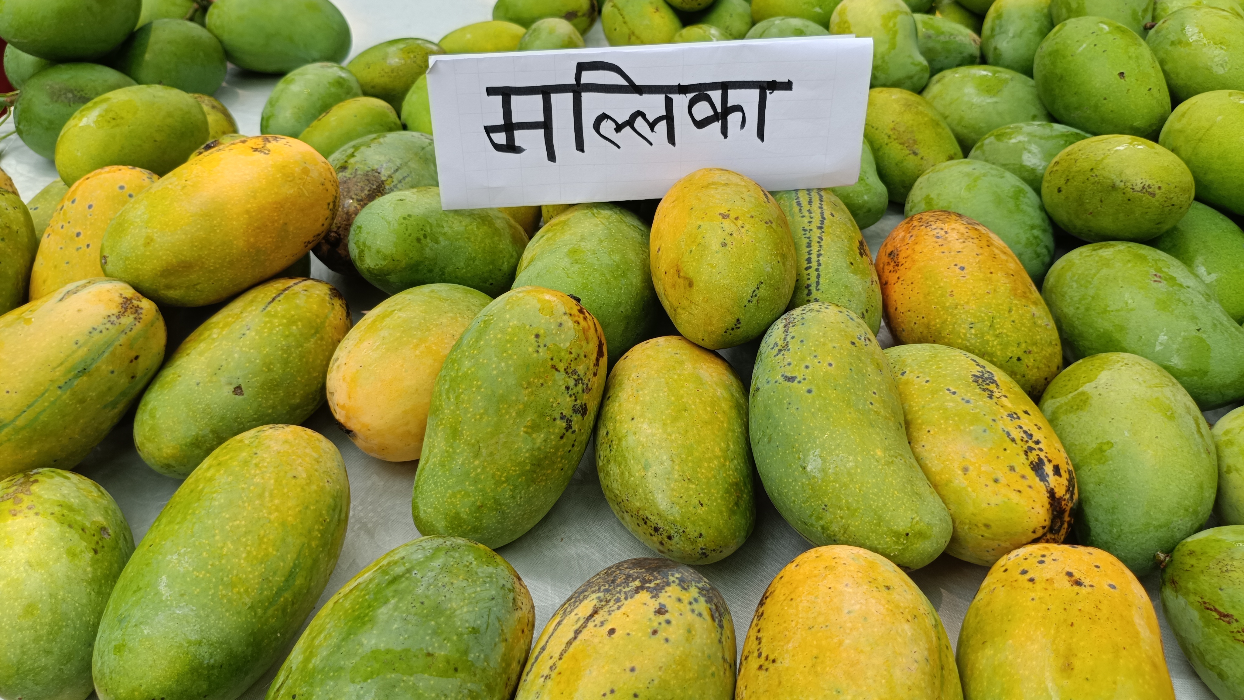 Mangoes from East Singhbhum