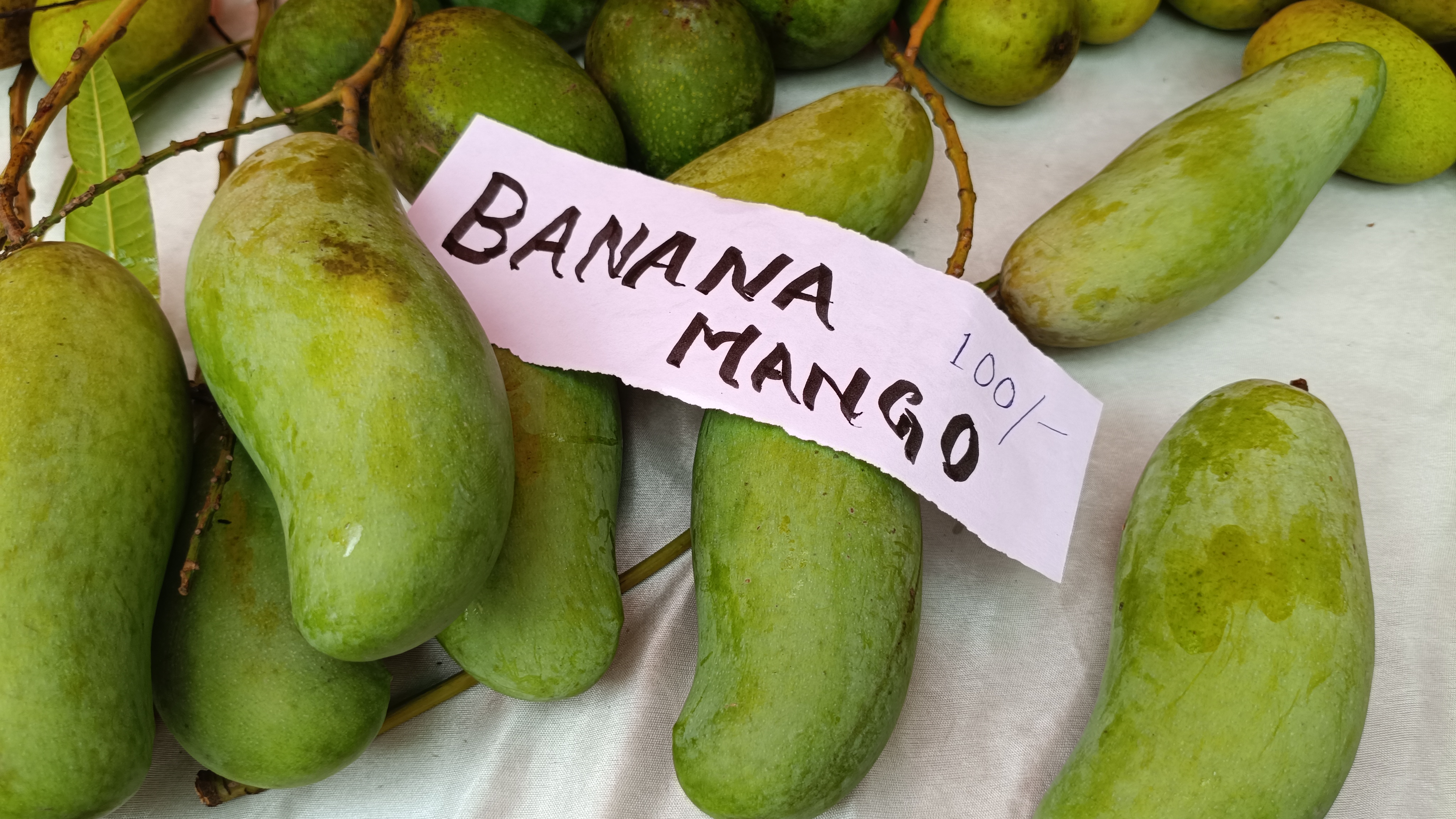 Mangoes from East Singhbhum