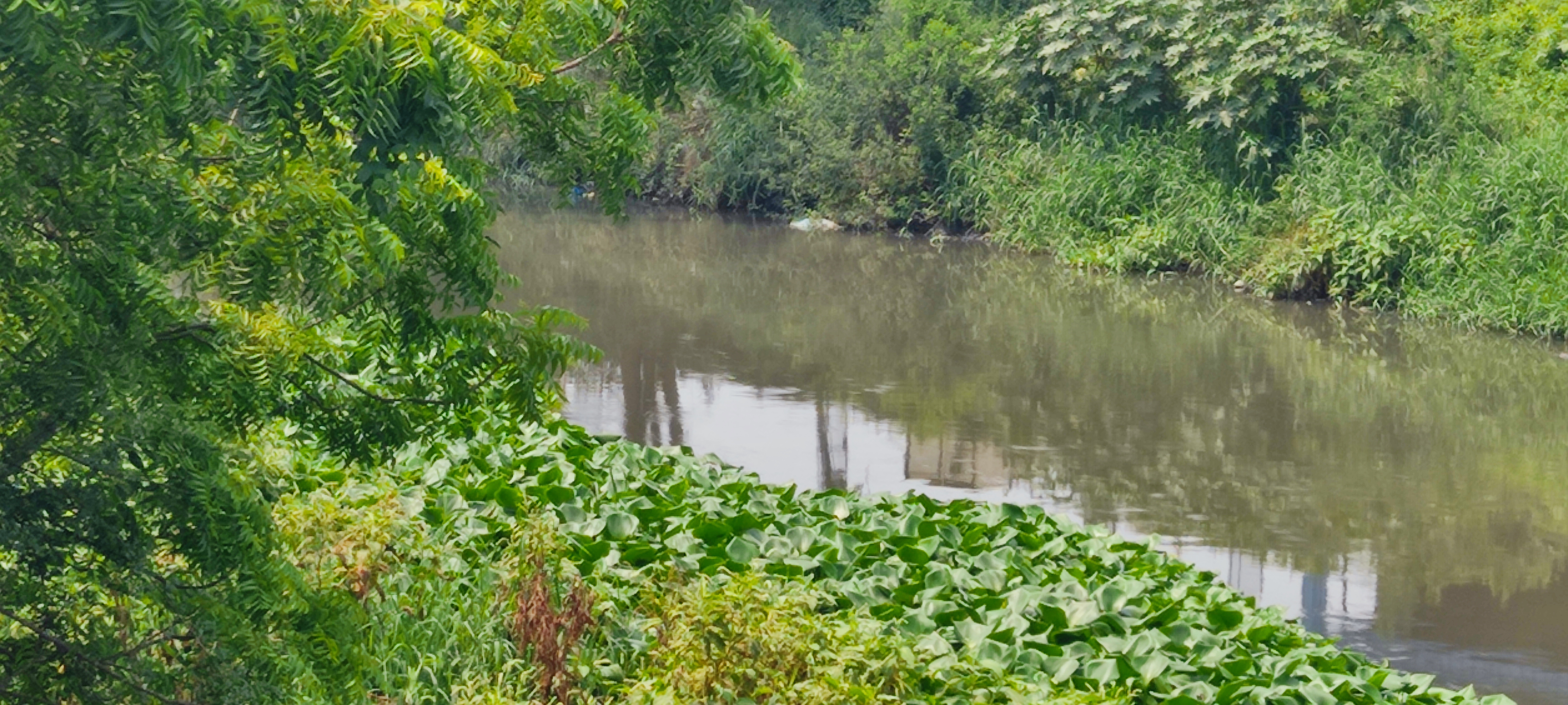 Gangua became dumping yard