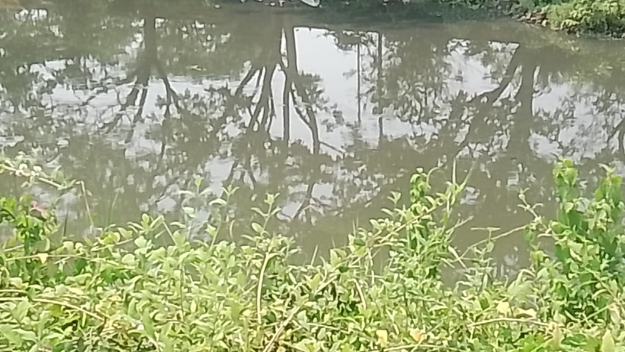 Gangua Drain